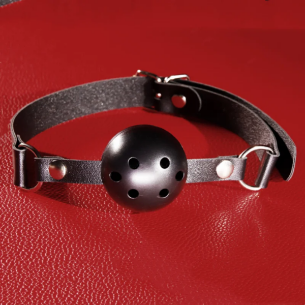 BDSM bed bondage set Red & Black with leather handcuffs, whip, gag, and collar for adults