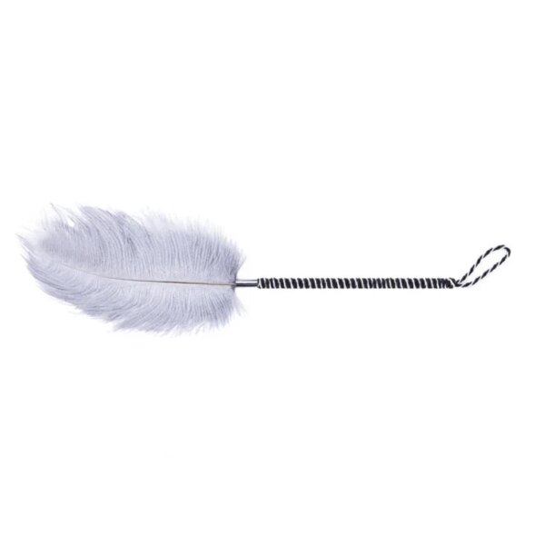 Flirting Clitoris Tickle Feather Erotic Whip for women – sensual intimacy accessory