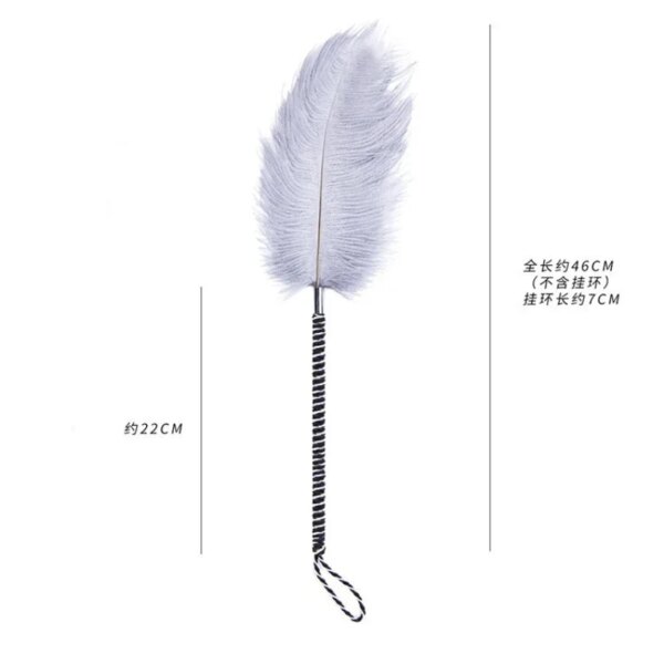 Flirting Clitoris Tickle Feather Erotic Whip for women – sensual intimacy accessory