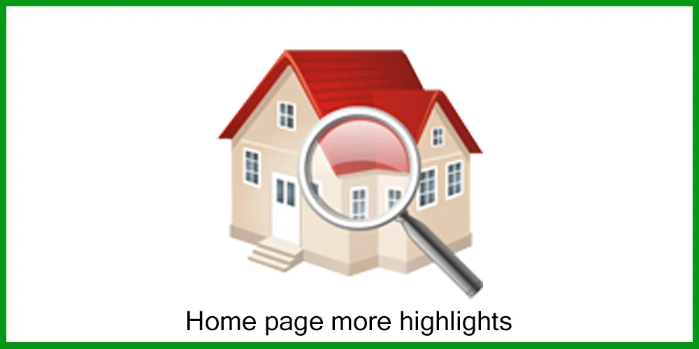 Premium Wearable Remote Fox Tail Vibrator with 10 Powerful Modes By Xlucia - Image 24