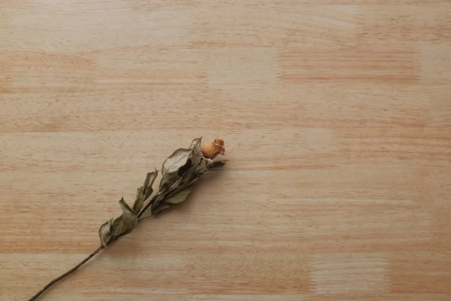 Mismatched desire in a relationship in a long-term marriage when everything feels rushed: a sex clinician’s in-depth answer