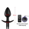 Remote control host