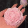 Peony Flower1 Pink