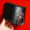 BDSM Collar