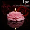 Peony Flower Pink