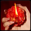 Peony Flower1 Red