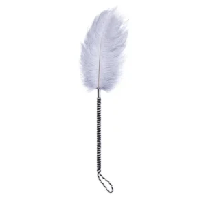 A luxurious erotic set featuring a soft tickle feather and a sleek black spanking whip for adult sensory play.