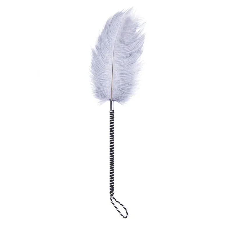 A luxurious erotic set featuring a soft tickle feather and a sleek black spanking whip for adult sensory play.